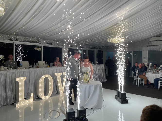 Davertainment Wedding Cake Cutting